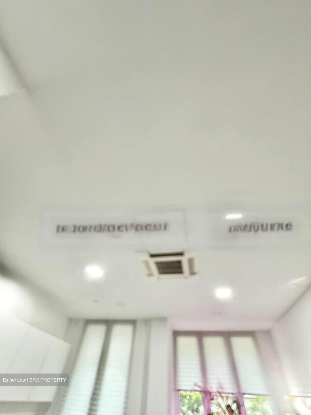 Icon@changi (D14), Shop House #451509301